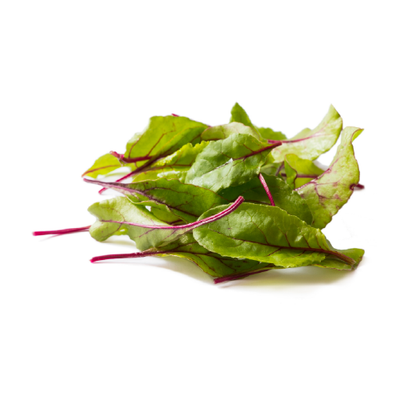 Baby Chard