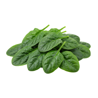 Baby Spinach