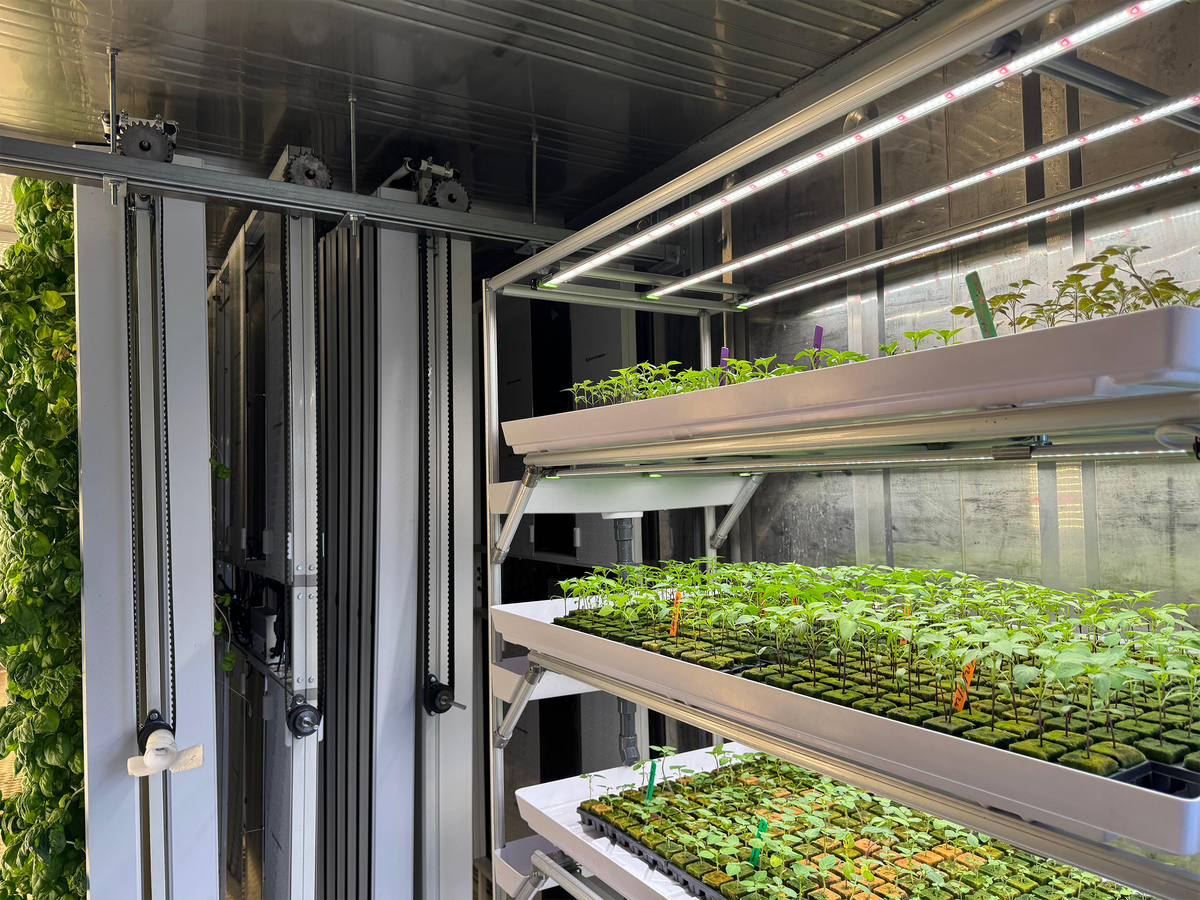 VFarm Insert Trays