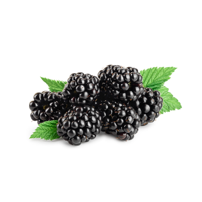 Dwarf Blackberries (compact varieties)