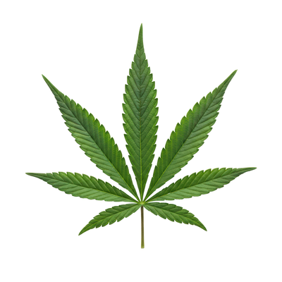 Hemp