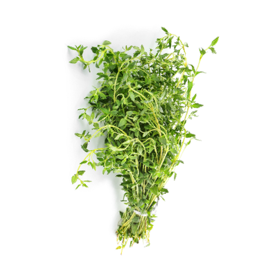 Oregano
