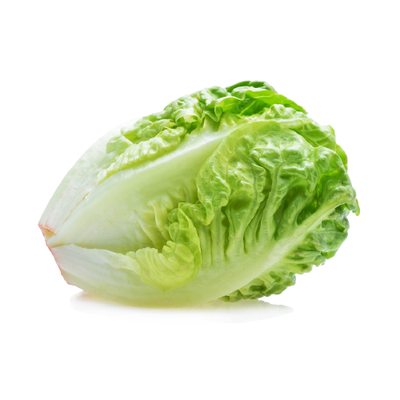 Baby Lettuce