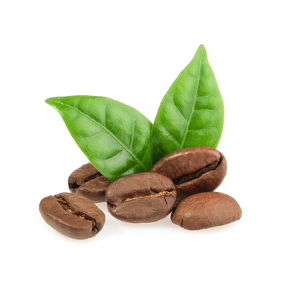 Coffee (Arabica dwarf varieties)