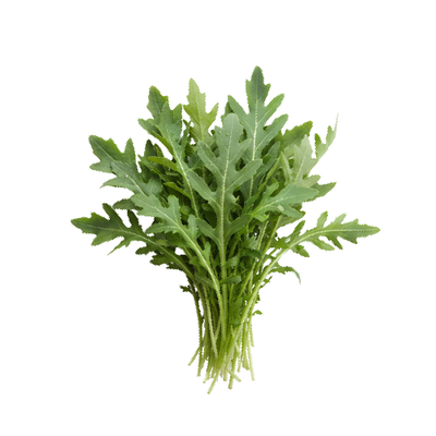 Rocket
