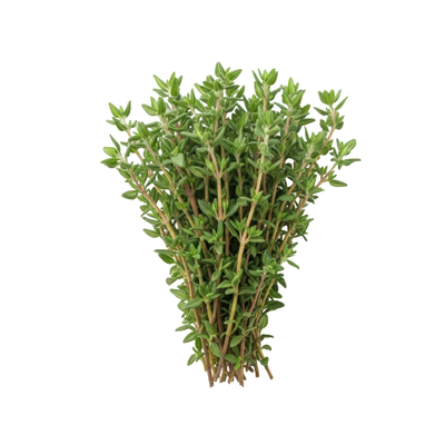 Thyme